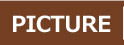 �C���X�g